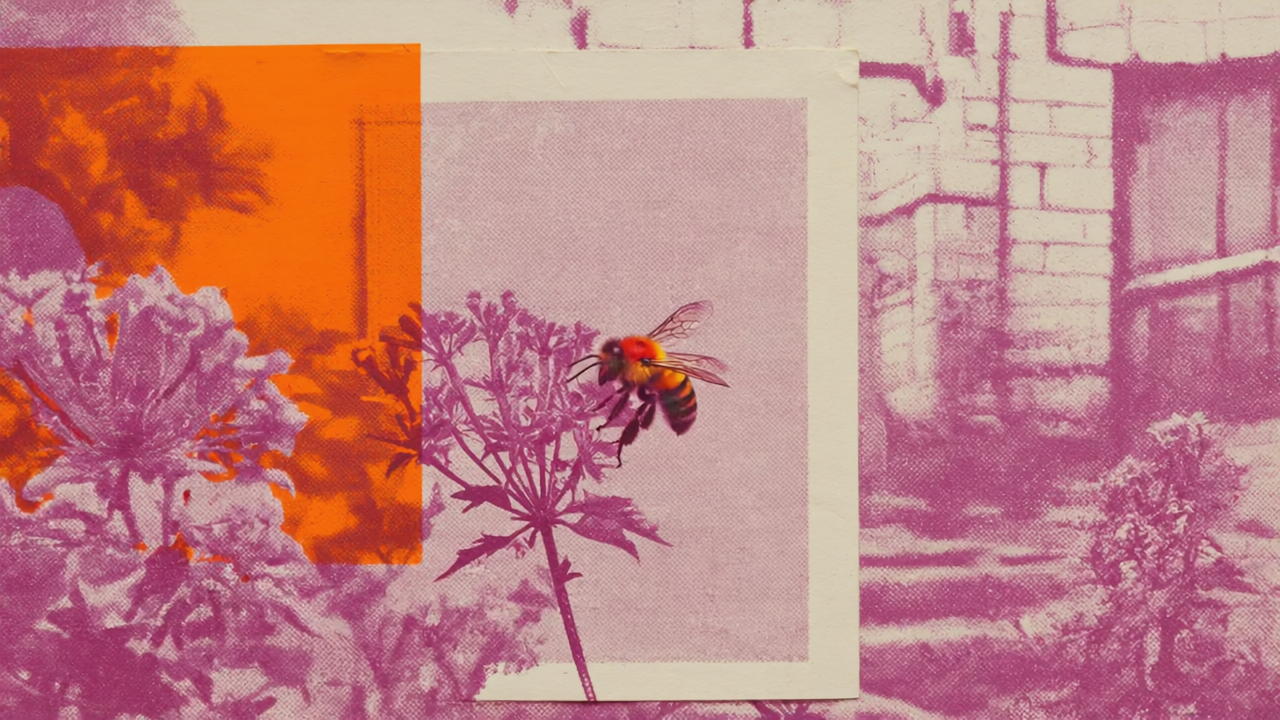 Die Wildbienen vor unserer Haustür